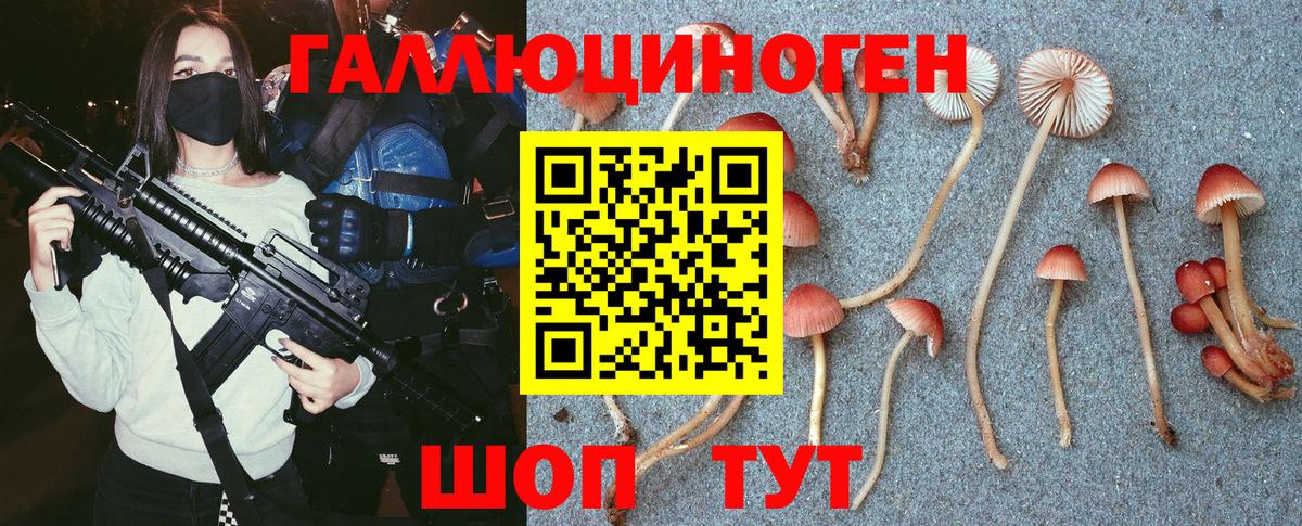 Галлюциногенные грибы Cubensis  Галлюциногенные грибы мухоморы  Трёхгорный  Вход с VPN 