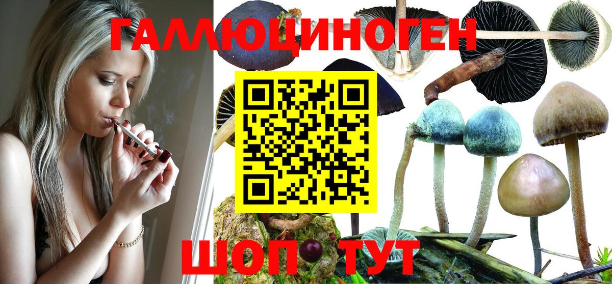 Псилоцибиновые грибы ЛСД Трёхгорный