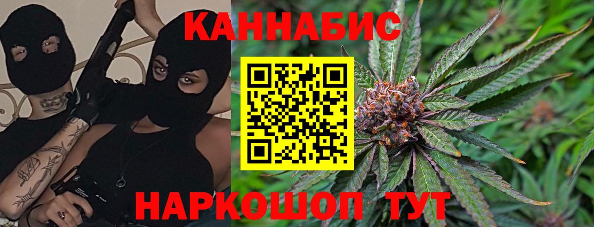 Трёхгорный  Канабис OG Kush  Вход с VPN  Бошки марихуана SATIVA & INDICA  Марихуана индика  Каннабис гибрид 